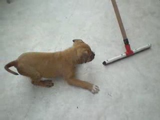 EXEL
