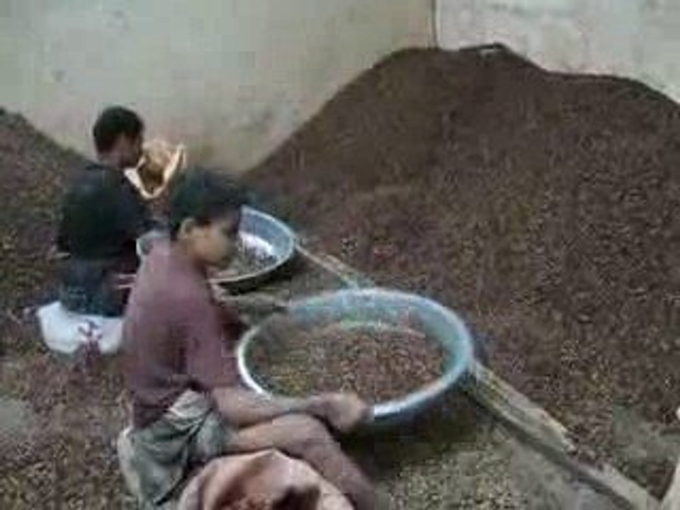 Coffee Winnowing in Yemen