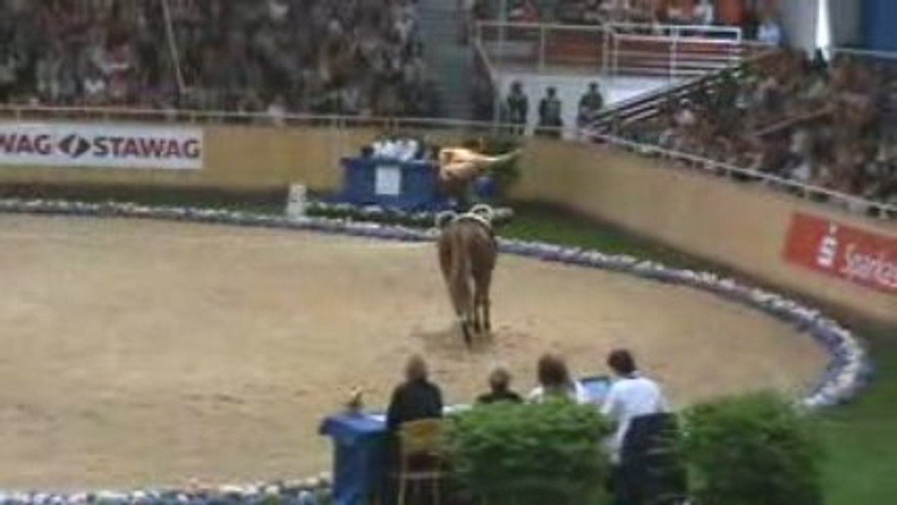 nicolas andréani cvi aachen second freestyle