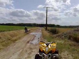 tout ça pour une flaque d eau