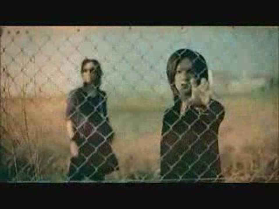 Bounty - Prism