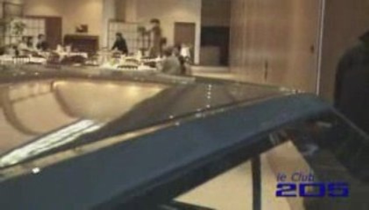 Les 25 ans de la Peugeot 205 - 24 février 2008