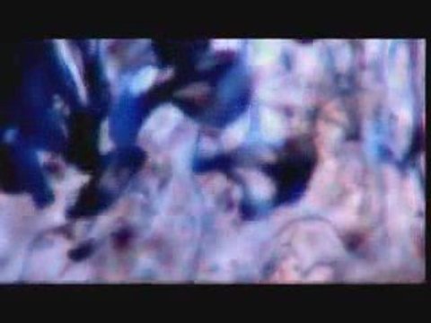 MARS Useless (OFM edition)