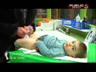 LES PIEDS SUR TERRE,Le port de la Rochelle : L'écolo-attitude