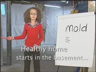 wet basement mold - Pioneer Basement