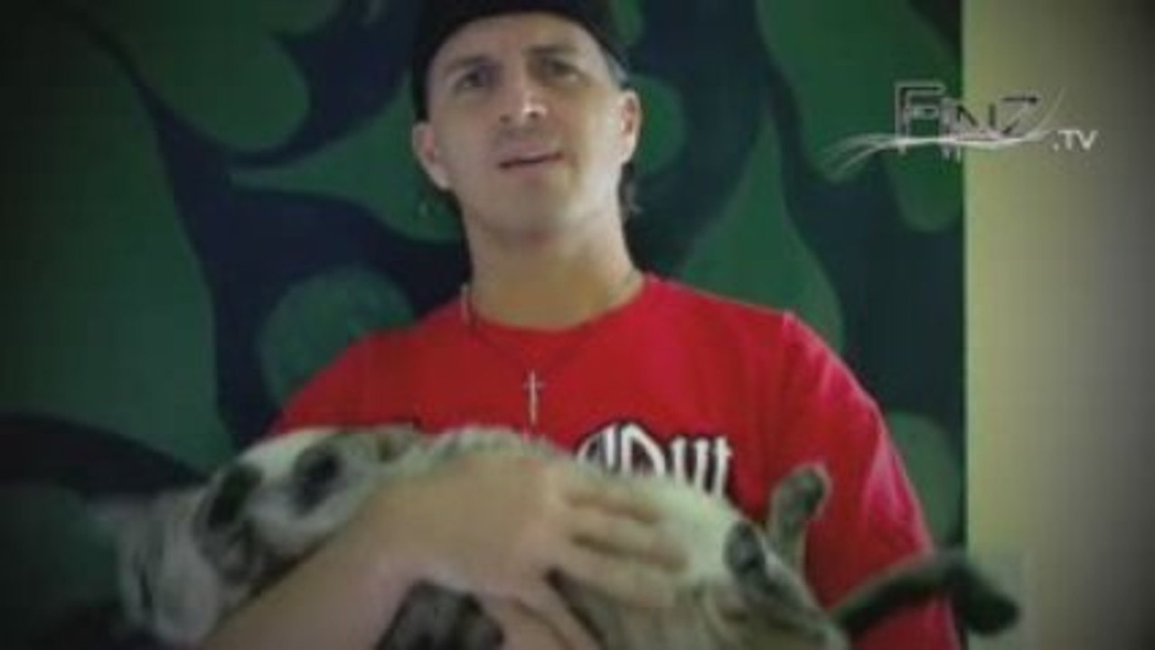 James Falvo Get a Cat PSA