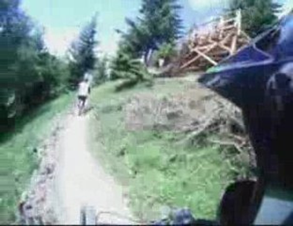 DH Les Vallons Les 2 alpes