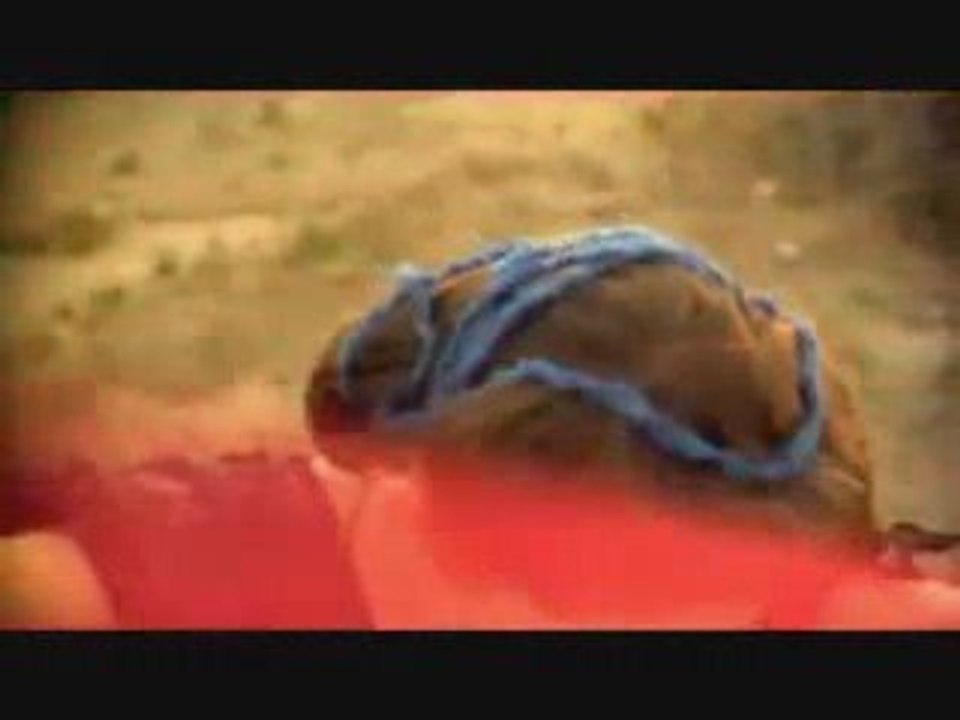 Regina Spektor- Eet (Official Music Video)