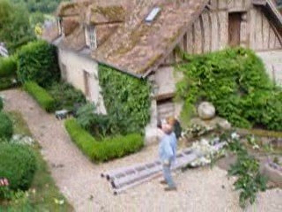 élagage vieux tilleul