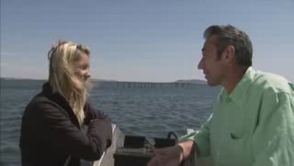 Sud de France - Les huîtres du Bassin de Thau