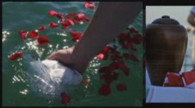 San Diego Cremation Accu-Care Cremation Center Carlsbad, CA