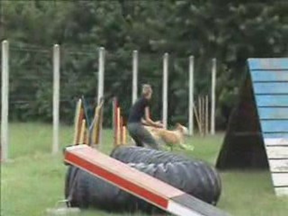 Concours interne (LICENCE)