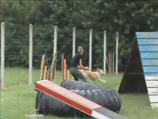 Concours interne (LICENCE)