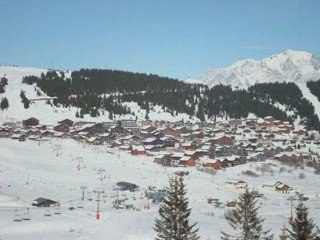 les saisies mars 2009