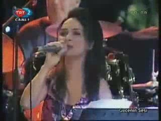 Bir garip yolcuyum (Yıldırım Gürses) Y.Arzen-D.Gürenç düet