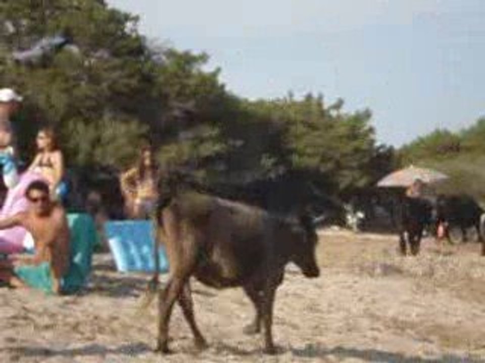 une visite inattendue