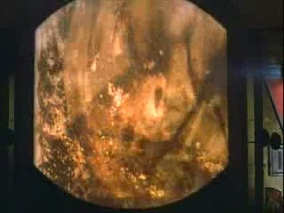1984georgesorwellbyleduc00005
