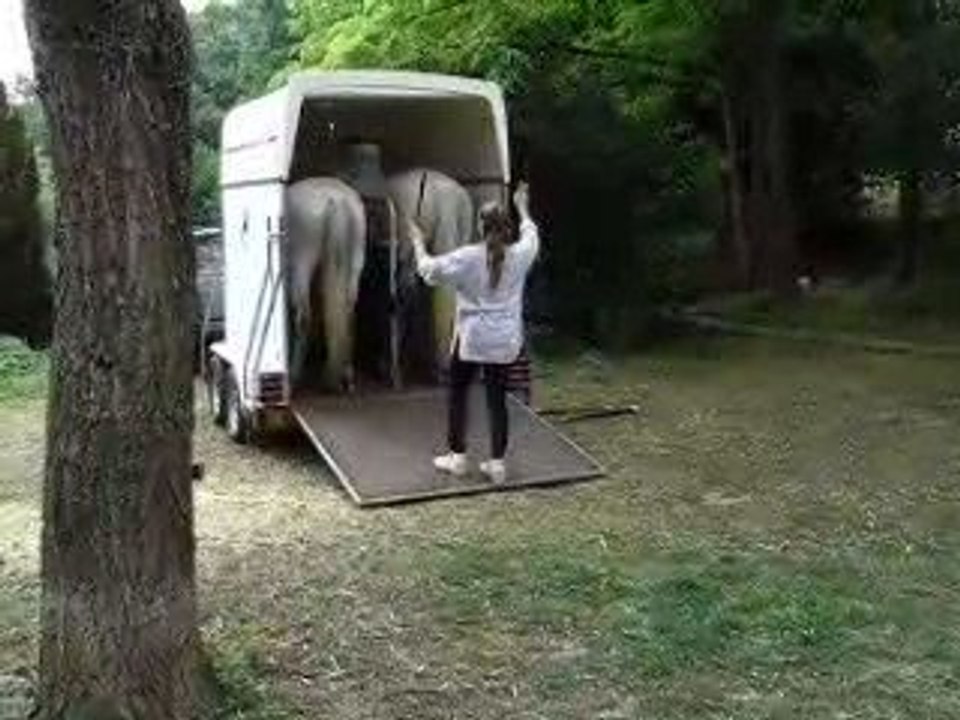 Equitation ethologique: le Van