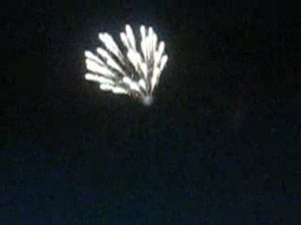 Saint Sébastien sur Loire : feu d'artifice