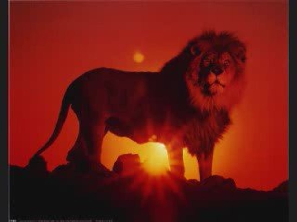 public enemies full movie