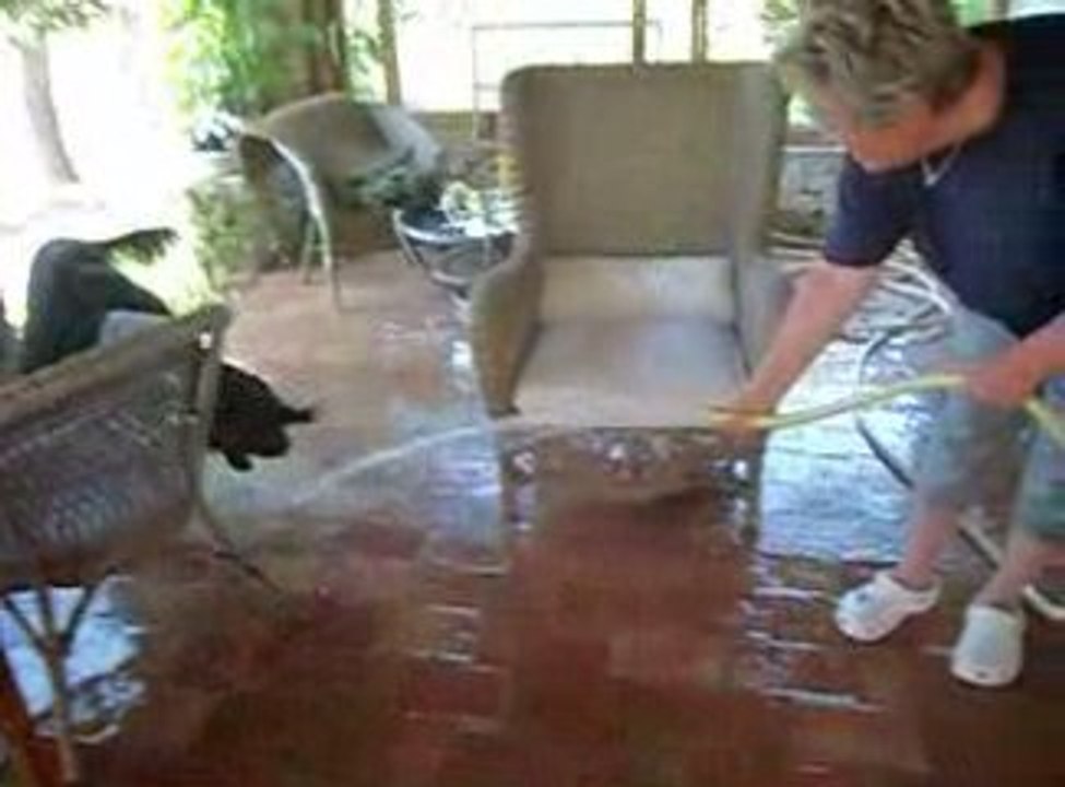 balko et le jet d'eau