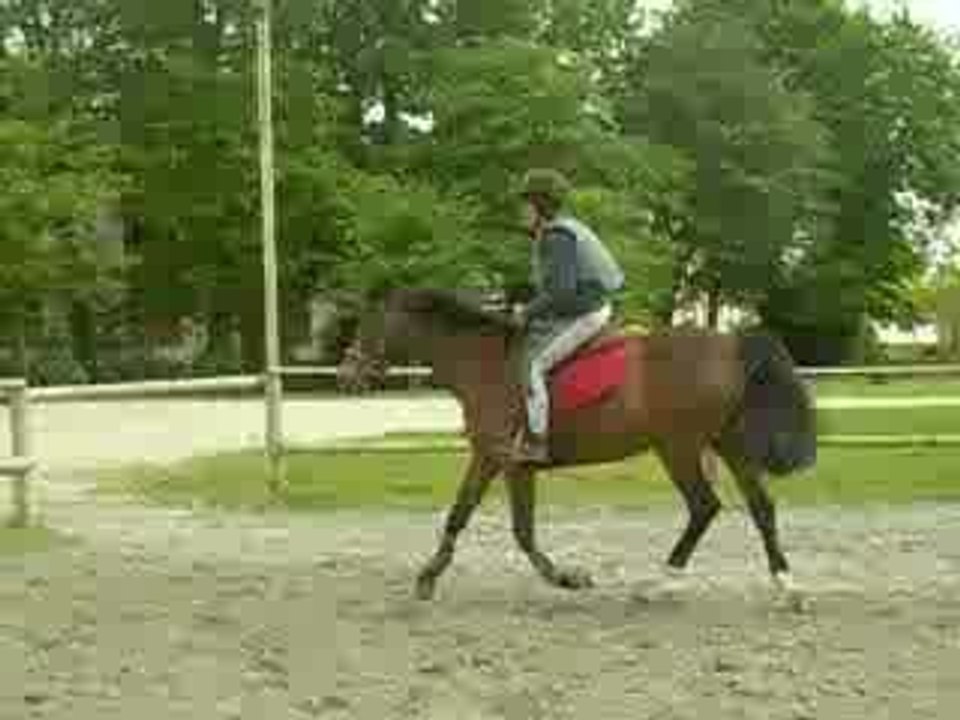 lyly 261