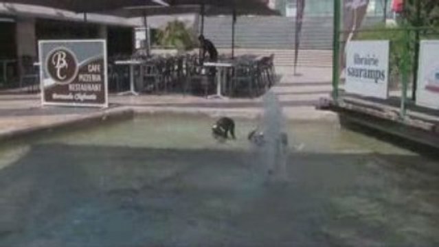 Learn together Playi together Have Fun together