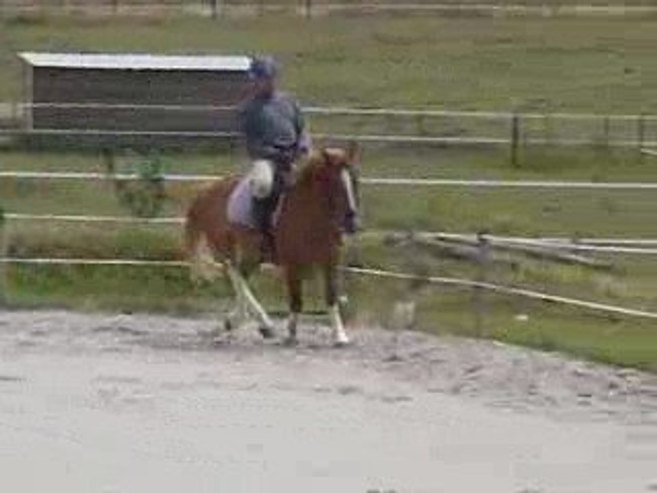 galop léna