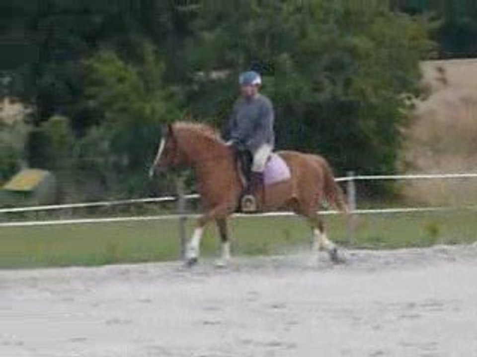 léna galop n°2