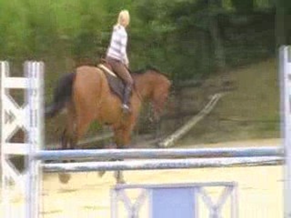 Nitro Galop