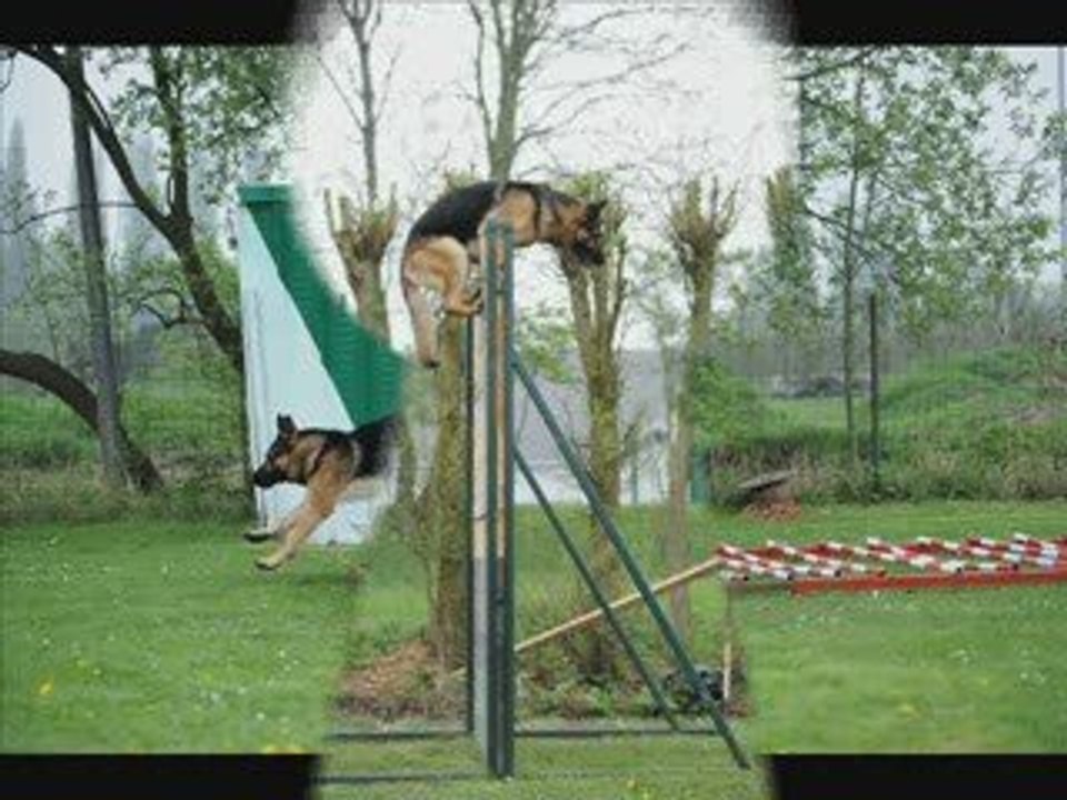 concours ring annezin 2009