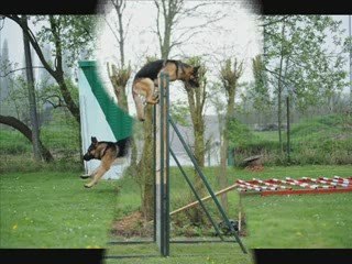 concours ring annezin 2009