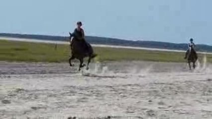 rando à la mer 16 juillet 2009