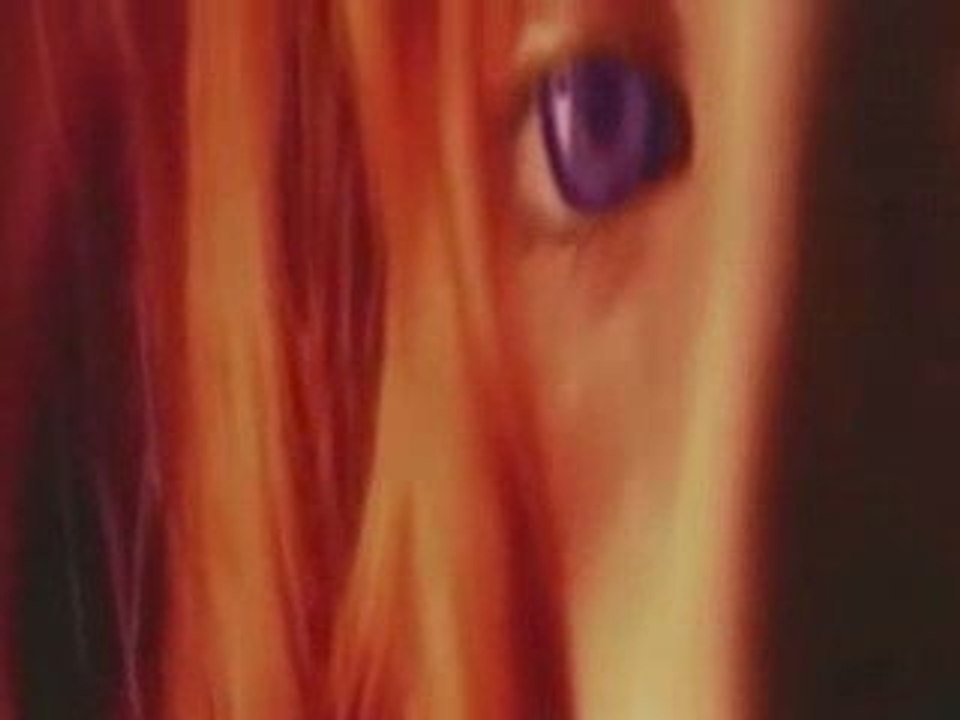 Trailer de Buulle
