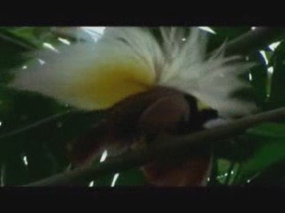 UNOP080508