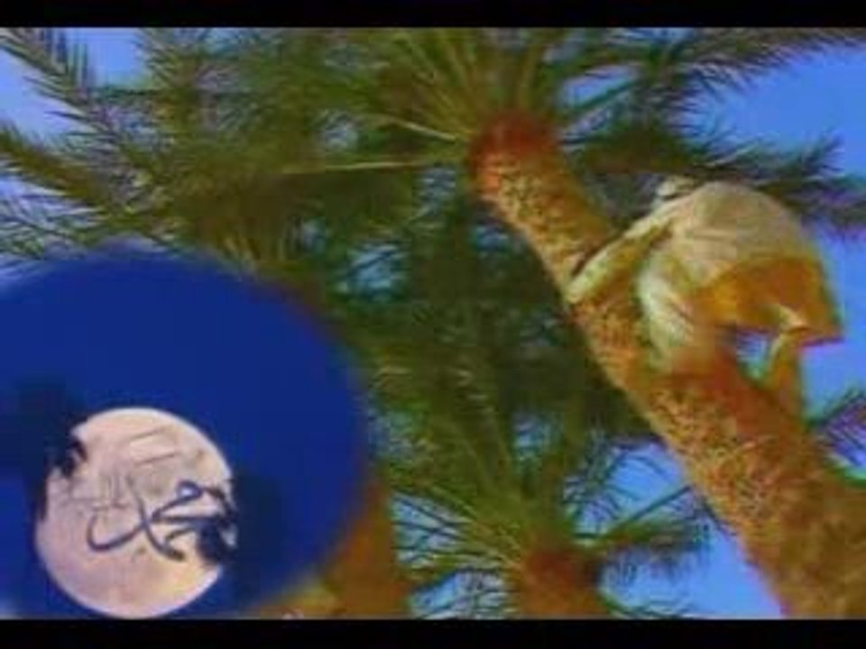 ALLAH YOLUNDA CİHAD EDEN ŞEHİTLER