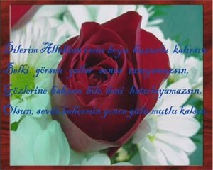 aşk şiiri, ayrılık, hasret, sevgili, munferit32@hotmail.com