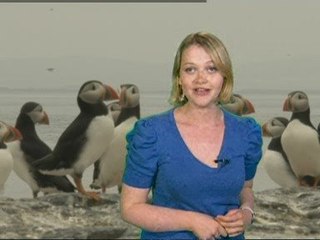 OAP now stands for Old Age Puffins!