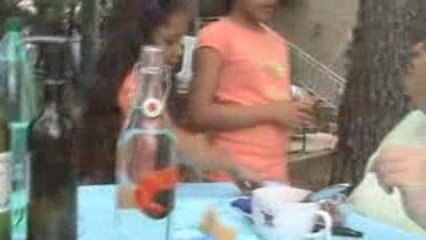 Martine chez Delphine 17 Juillet 2009 (2)