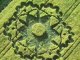 What On Earth? - International Circles - crop circle mystery