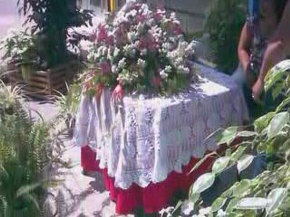 Coimbra - Mercado das Flores