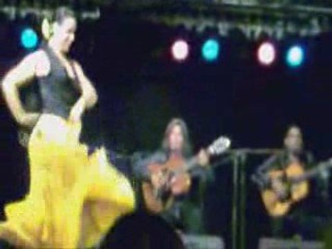 Ricao en concert à Pamiers (3)