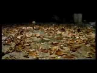 B´Boy Cico (Power Move)