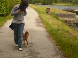 Balade avec Elodie et Carioca - Pinceau en OBR avec Elodie