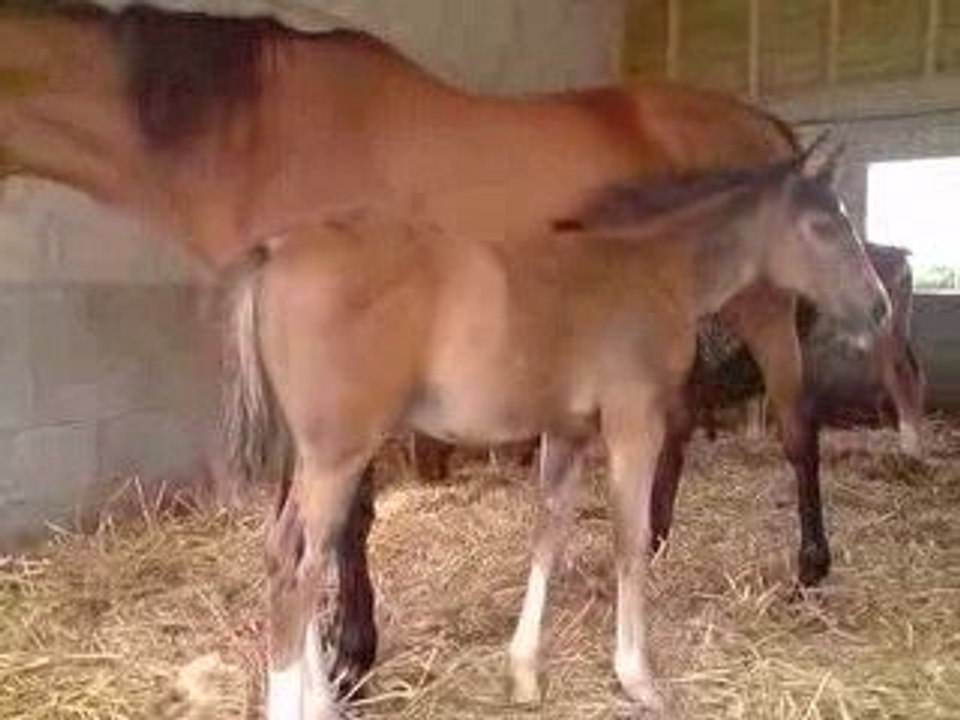 Viita Et Sa Maman