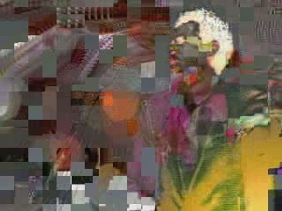 - farid l knitri _ 2006,