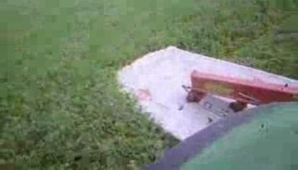 fauchage  de petit-pois