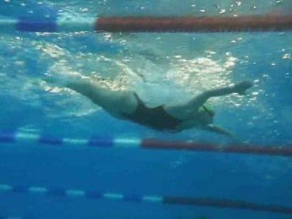 Everybodyswim: Apprendre à nager le papillon (everybodyswim.blogspot.fr)