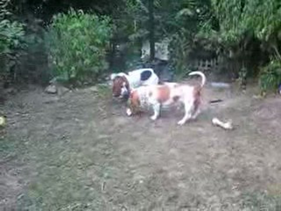 Doug & Dyna - Juillet 2009