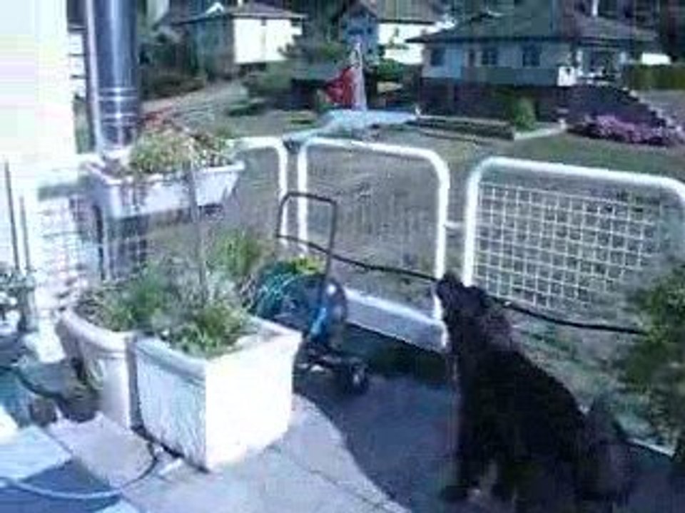 Ten'shi et les cloches !